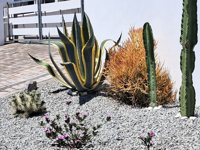 1 Bedroom Property for Sale in Britannica Heights Western Cape